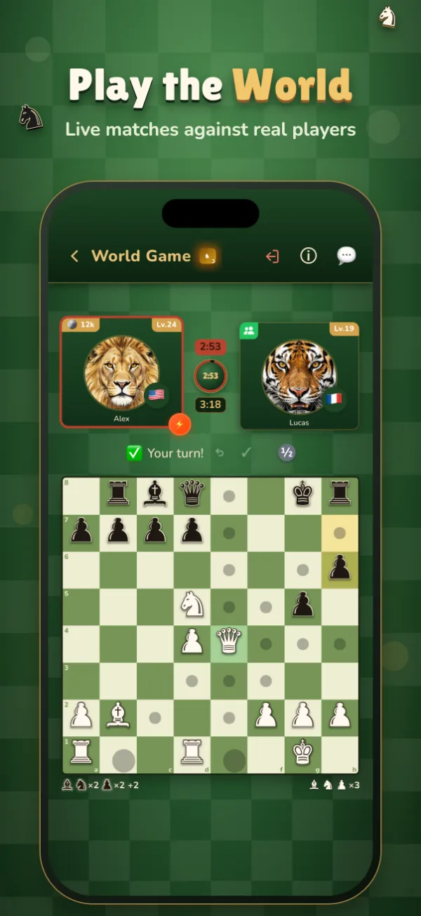 Play the World: live chess matches against real players